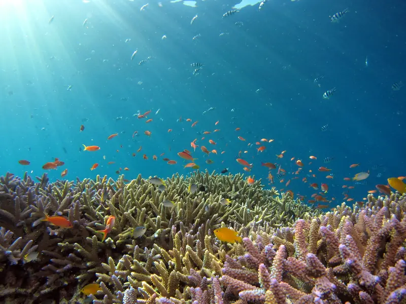 Grand Cayman attractions, and how to reach them